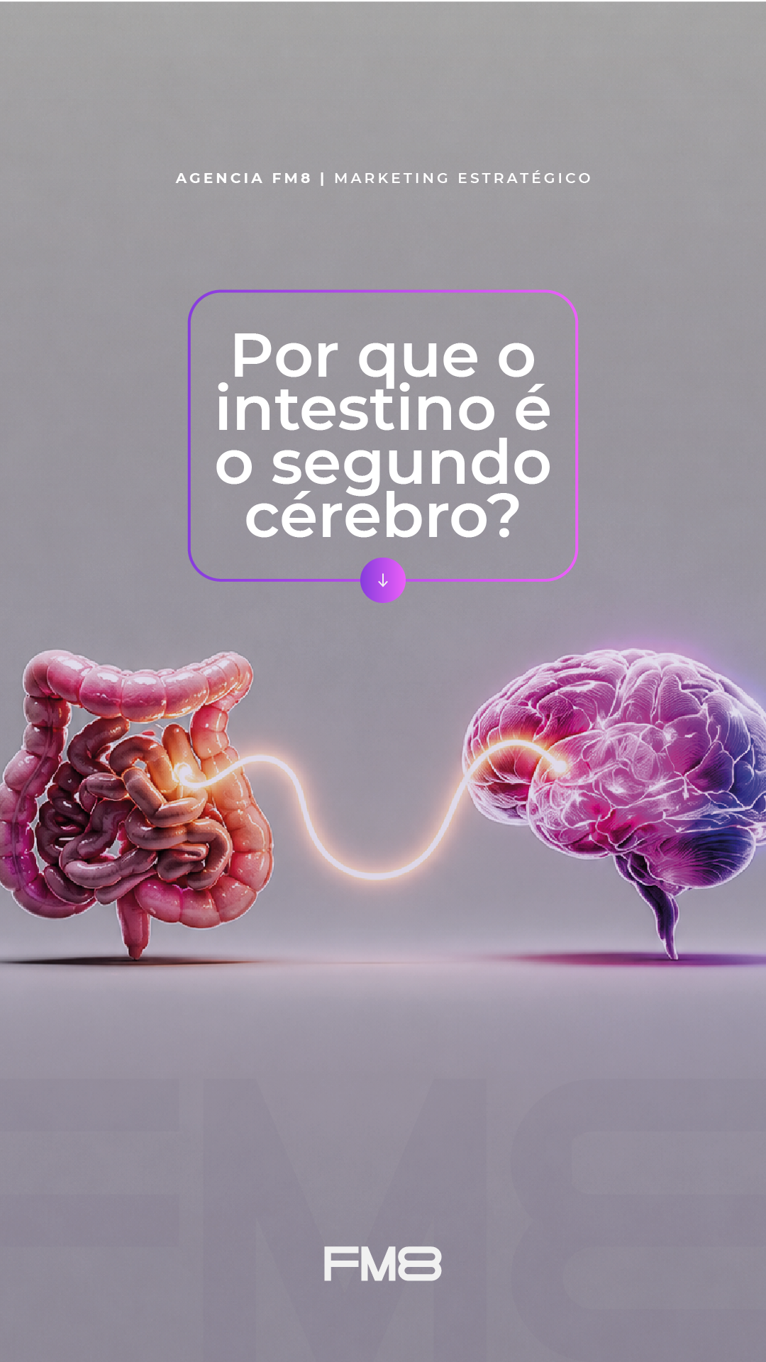 Projeto de social media FM8
